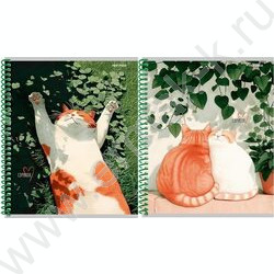 Тетрадь  96л клетка/спираль "Солнечные котики" ассорти NEW | Фото 1