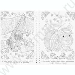 Раскраска антистресс.Мир природы NEW | Фото 3