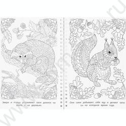 Раскраска антистресс.Мир природы NEW | Фото 4