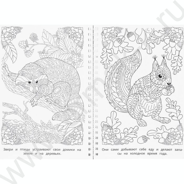 Раскраска антистресс.Мир природы NEW | Фото 4