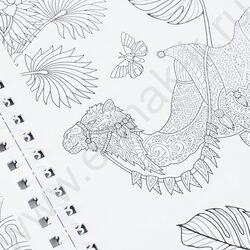 Раскраска антистресс.Мир природы NEW | Фото 6