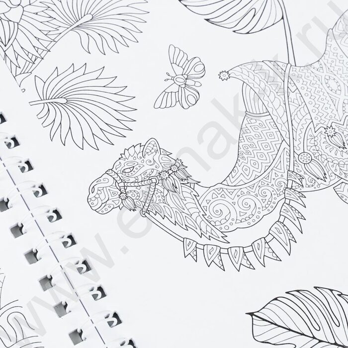 Раскраска антистресс.Мир природы NEW | Фото 6