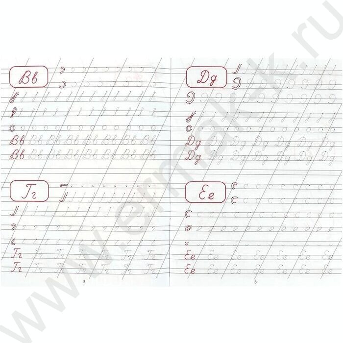 Пропись А5 Каллиграфическая.Пишем буквы и цифры NEW | Фото 2