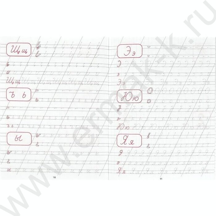 Пропись А5 Каллиграфическая.Пишем буквы и цифры NEW | Фото 4