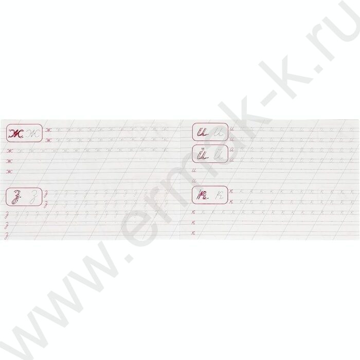 Пропись А5 Каллиграфическая.Пишем строчные буквы NEW | Фото 3