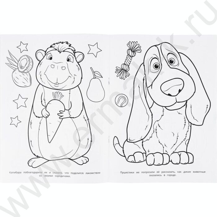 Раскраска А4 Чудесные гости NEW | Фото 4