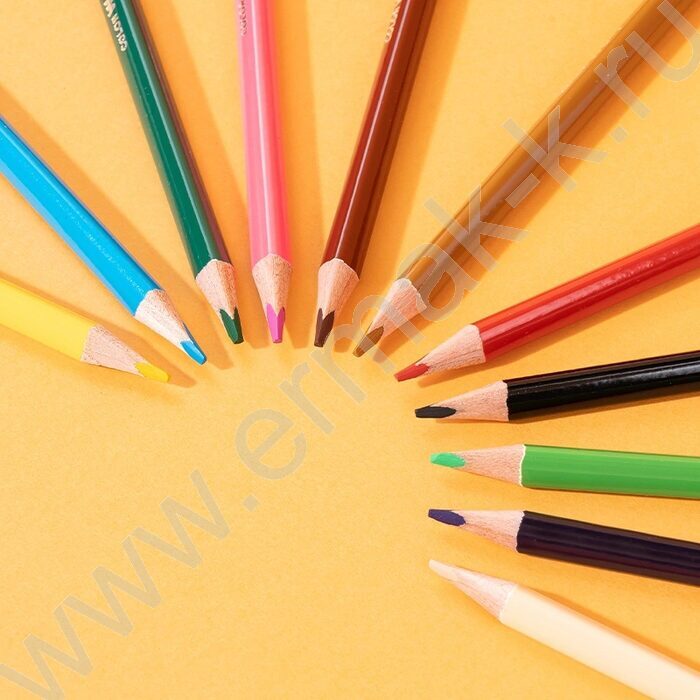 Карандаши  24цв Colorwow, Ø3мм /трехгранные /карт.кор./европодвес NEW | Фото 4