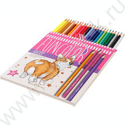 Карандаши пластиковые 24цв Funcolor Корги NEW | Фото 3