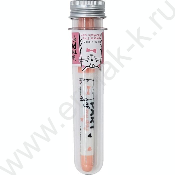 Ручка перьевая BEST FRIENDS /с картриджем  0,38мм NEW | Фото 4