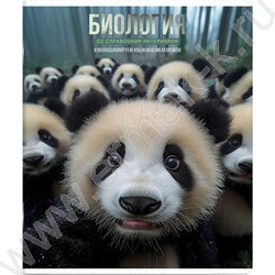 Тетрадь предметная 48л Набор 15шт "Селфи" /выборочный ТВИН-лак/ NEW | Фото 5