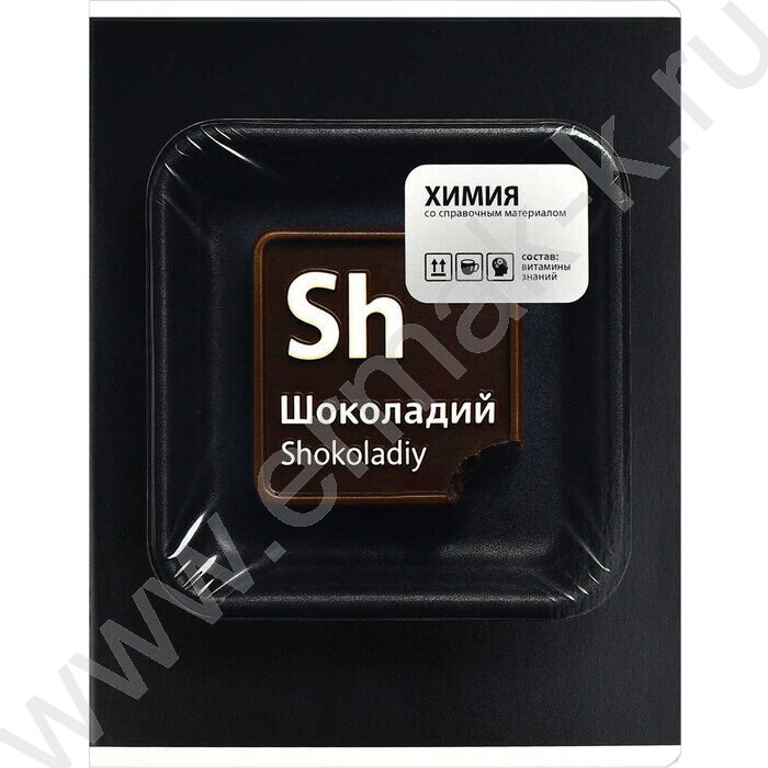Тетрадь предметная 48л Набор 15шт "Фразы с характером" /выборочный ТВИН-лак NEW | Фото 4