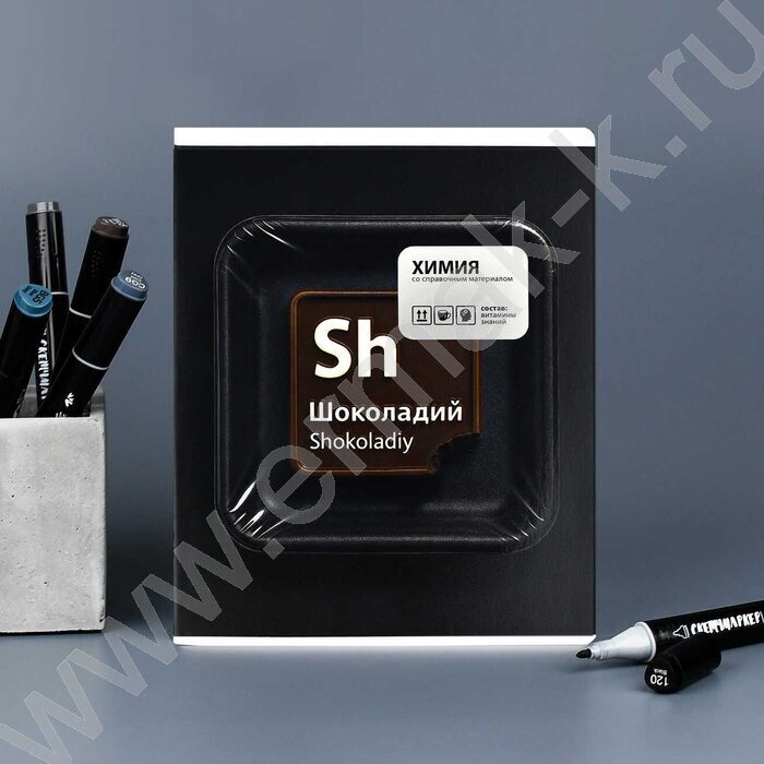 Тетрадь предметная 48л Набор 15шт "Фразы с характером" /выборочный ТВИН-лак NEW | Фото 9