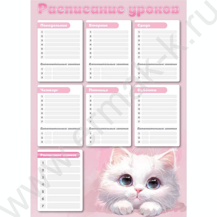 Расписание уроков А3 Белый кот  235г/м2 NEW | Фото 1