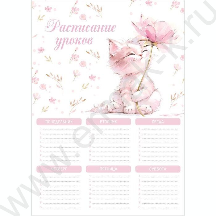Расписание уроков А4 Кот с цветком  235г/м2 NEW | Фото 1