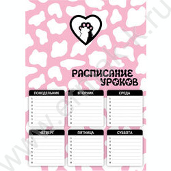 Расписание уроков А4 Котолапы  235г/м2 NEW | Фото 1