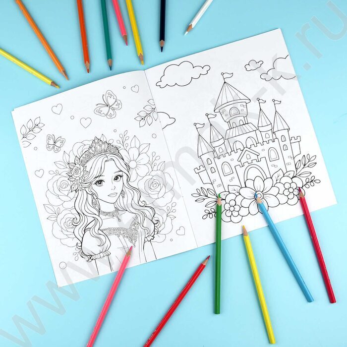 Раскраска 200*260 Любимая раскраска.Феи и принцессы NEW | Фото 4