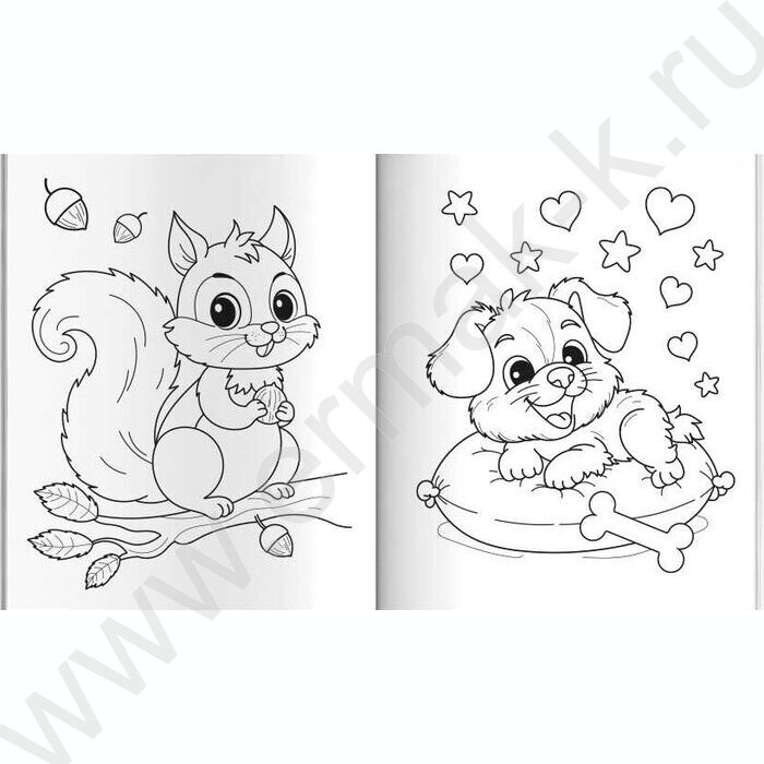 Раскраска А5 Милые животные NEW | Фото 2
