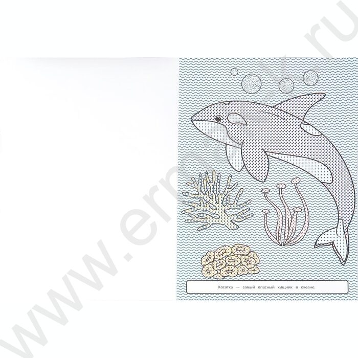 Раскраска Большая водная. Морские обитатели NEW | Фото 2