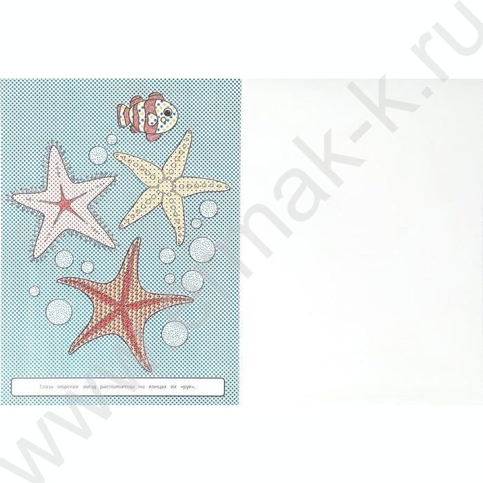 Раскраска Большая водная. Морские обитатели NEW | Фото 3