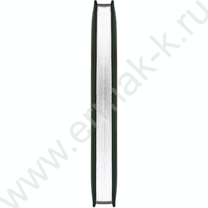 Ежедневник 2027г A5 168л "Major" зеленый /тв.обл. иск.кожа /2 ляссе /с серебристым срезом NEW | Фото 2