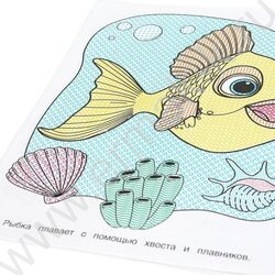 Раскраска водная А4 Морские животные NEW | Фото 4