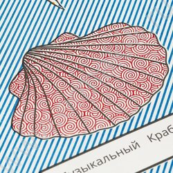 Раскраска водная малышам.Чудеса подводного мира NEW | Фото 6