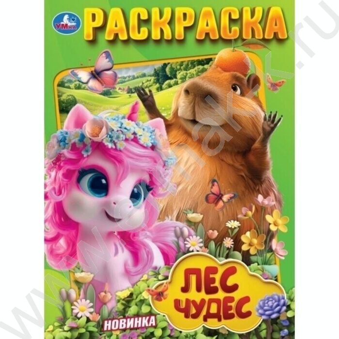 Раскраска А4 Лес чудес NEW | Фото 1