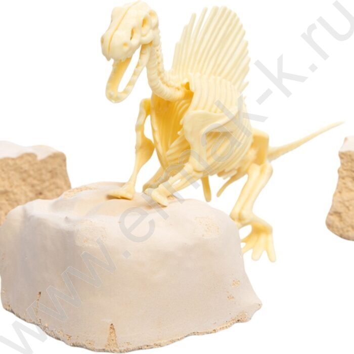 Набор д/творчества Раскопки "Найди окаменелости Спинозавра" (11эл) NEW | Фото 4