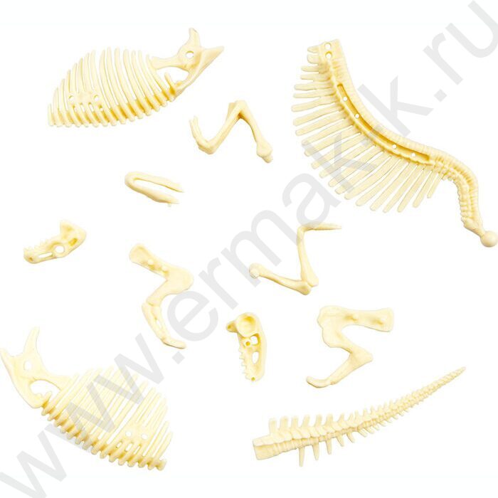 Набор д/творчества Раскопки "Найди окаменелости Спинозавра" (11эл) NEW | Фото 5