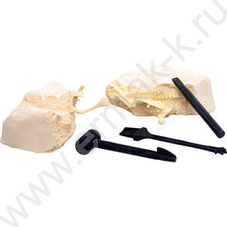 Набор д/творчества Раскопки "Найди окаменелости Спинозавра" (11эл) NEW | Фото 7