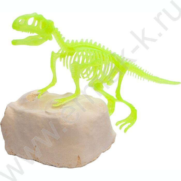 Набор д/творчества Раскопки "Найди окаменелости Тираннозавра" (11 эл) светятся в темноте NEW | Фото 5