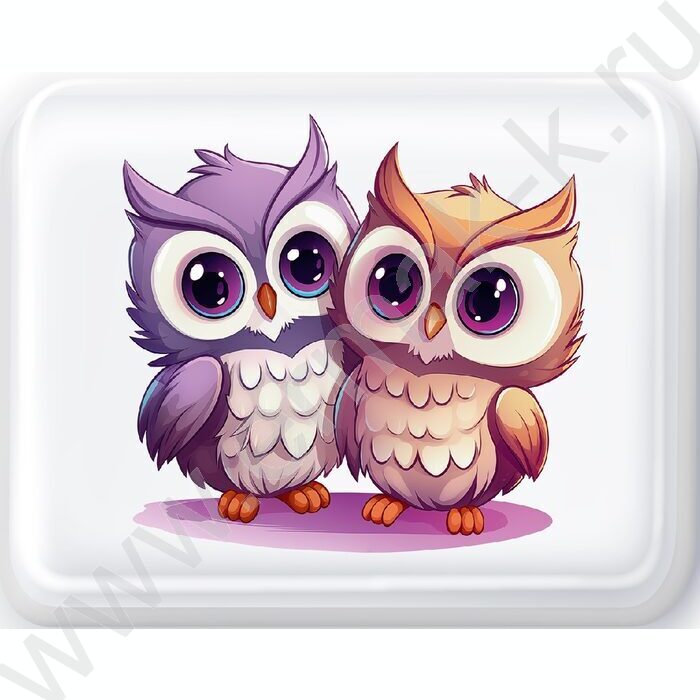 Набор д/творчества Изготовление мыла Рукодельное мыло с картинкой "Совушка" NEW | Фото 4