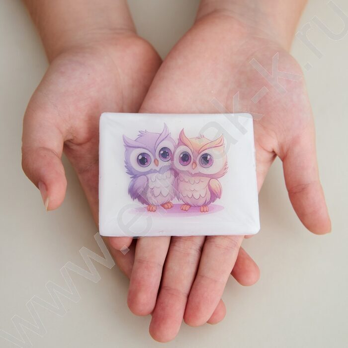 Набор д/творчества Изготовление мыла Рукодельное мыло с картинкой "Совушка" NEW | Фото 6