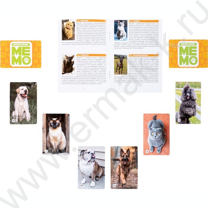 Мемо Кошечки-собачки 50 карточек NEW | Фото 4