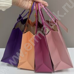 Пакет подарочный 23*18*10см. /ассорти NEW | Фото 4