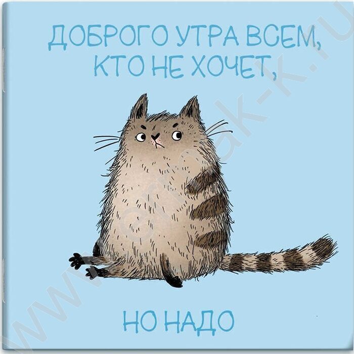 Блокнот  32л 130*130 "Хмурый кот" /мат.лам.,выб.Уф-лак,дизайнерский блок NEW | Фото 1