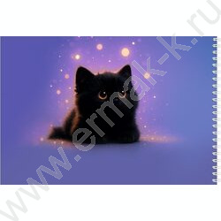 Альбом д/рисования-спираль 40л "Милые котики-10" ассорти NEW | Фото 6