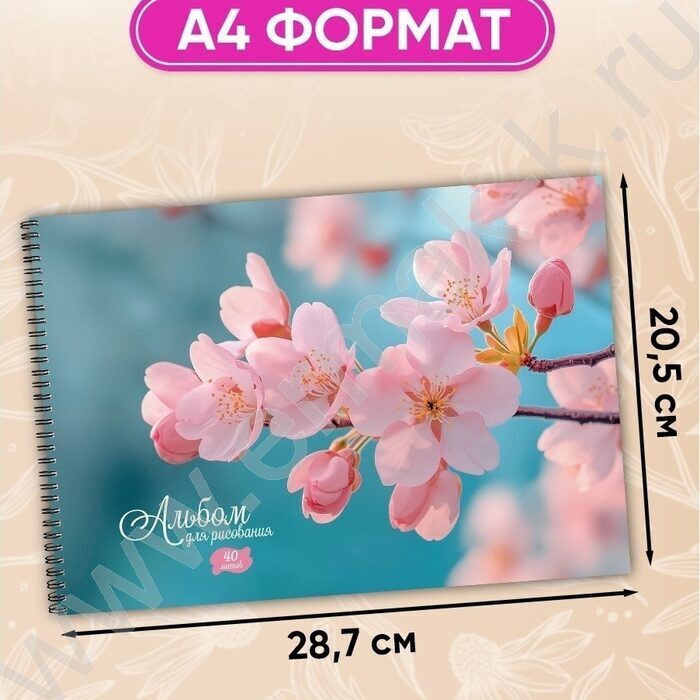 Альбом д/рисования-спираль 40л "Нежные цветы-23" ассорти NEW | Фото 3