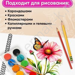 Альбом д/рисования-спираль 40л "Нежные цветы-23" ассорти NEW | Фото 5