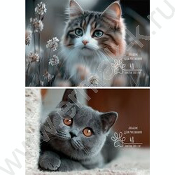 Альбом д/рисования-склейка 48л "Взгляд котенка" /мат.лам.,выб.лак./ ассорти NEW | Фото 1