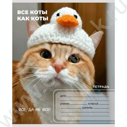 Тетрадь  24л клетка "Забавные коты-6" 5видов NEW | Фото 3