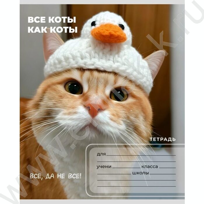 Тетрадь  24л клетка "Забавные коты-6" 5видов NEW | Фото 3