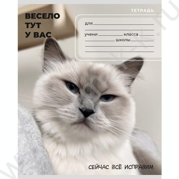 Тетрадь  24л клетка "Забавные коты-6" 5видов NEW | Фото 4