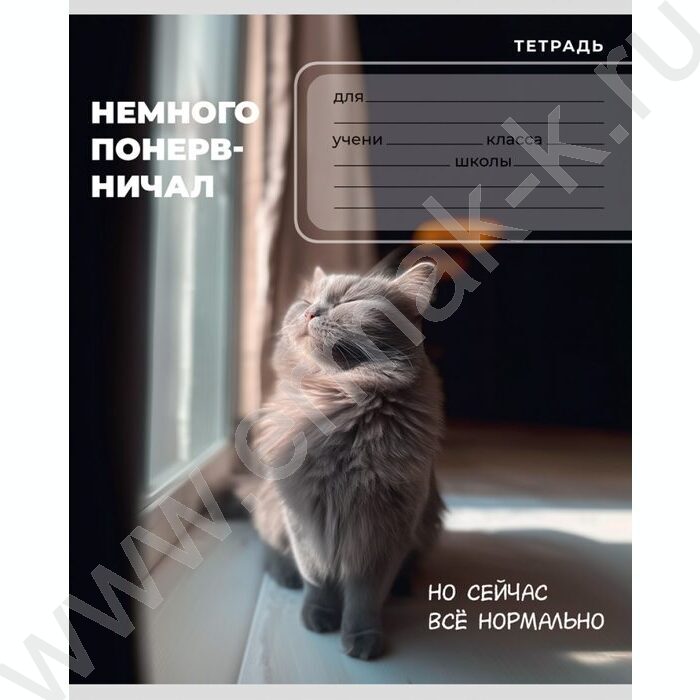 Тетрадь  24л клетка "Забавные коты-6" 5видов NEW | Фото 5
