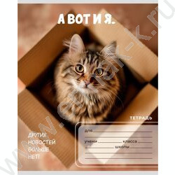 Тетрадь  24л клетка "Забавные коты-6" 5видов NEW | Фото 6
