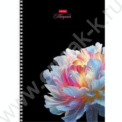 Тетрадь  96л А4 клетка/спираль/перфорация на отрыв "Хрупкие лепестки" /лам. СОФТ ТАЧ 3D лак/ асс NEW | Фото 3