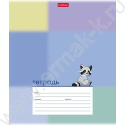 Тетрадь  12л линейка косая "Милый енотик" 5видов NEW | Фото 3