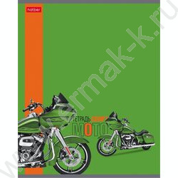 Тетрадь  40л клетка "Мото" /выб.лак/ ассорти NEW | Фото 6
