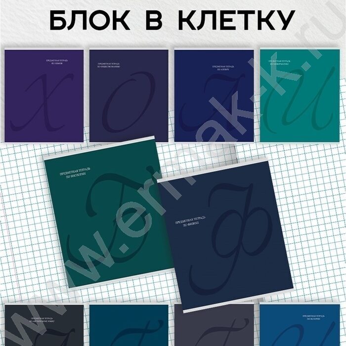 Тетрадь предметная 48л Набор 12шт "Calligraphy" /мат.лам, выб.лак/ NEW | Фото 2