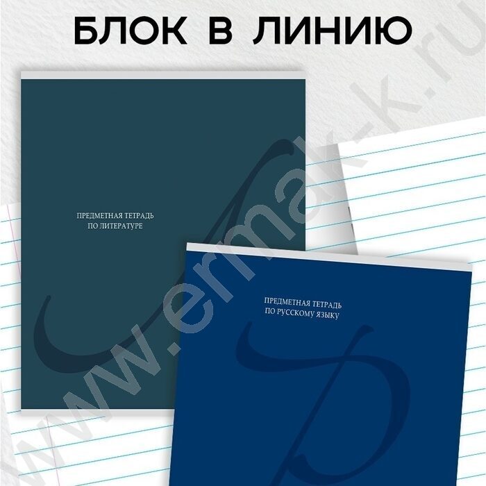 Тетрадь предметная 48л Набор 12шт "Calligraphy" /мат.лам, выб.лак/ NEW | Фото 3
